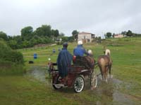 20080525_thezac_trec_attelage0493