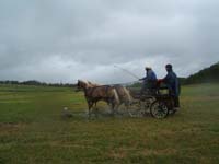 20080525_thezac_trec_attelage0501