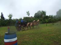 20080525_thezac_trec_attelage0517