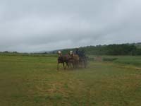 20080525_thezac_trec_attelage0535