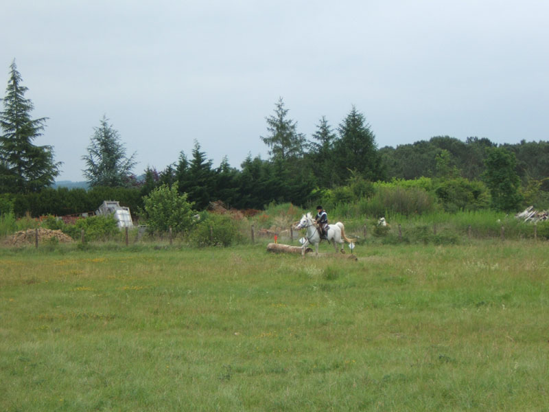 20080608_cross_country0144