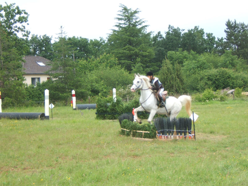 20080608_cross_country0146