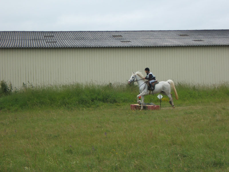 20080608_cross_country0148