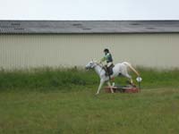 20080608_cross_country0012