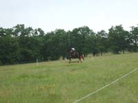 20080608_cross_country0022