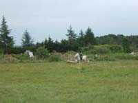 20080608_cross_country0144