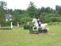20080608_cross_country0146