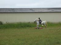 20080608_cross_country0148