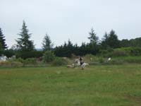 20080608_cross_country0323