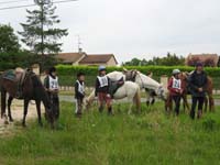 20080608_cross_country0330