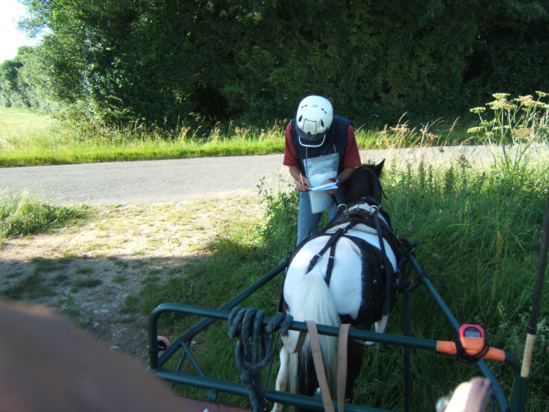 20080621_et22_champt_france_trec_attele0006