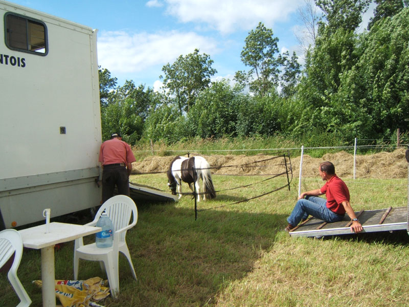 20080621_et22_champt_france_trec_attele0010