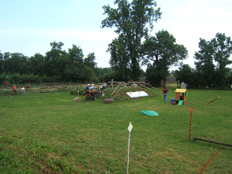 20080621_et22_champt_france_trec_attele0021