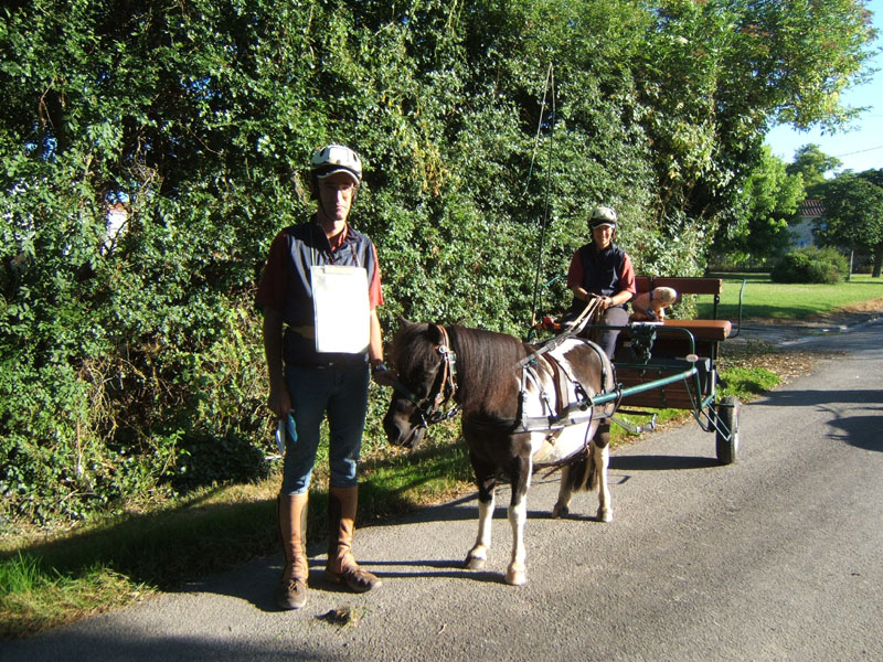 20080621_et22_champt_france_trec_attele0109