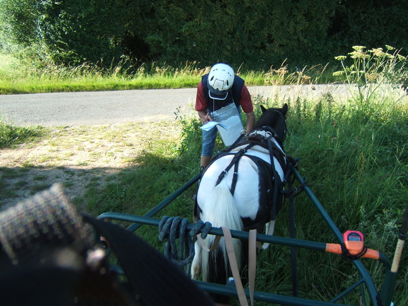 20080621_et22_champt_france_trec_attele0112