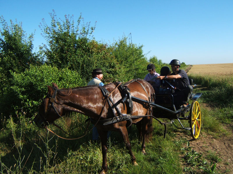 20080621_et22_champt_france_trec_attele0114