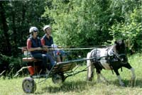 20080621_championnat_france_trec_attelage_POR0002