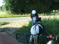 20080621_et22_champt_france_trec_attele0006