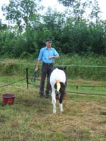 20080621_et22_champt_france_trec_attele0019