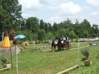 20080621_et22_champt_france_trec_attele0044