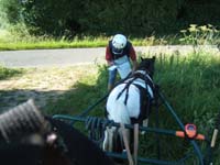 20080621_et22_champt_france_trec_attele0112