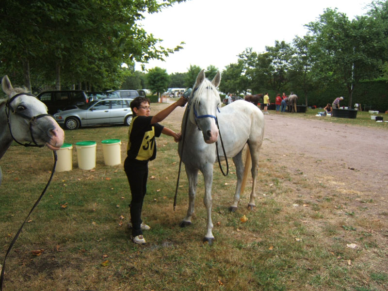 20080803_endurance_castillonnes_0025