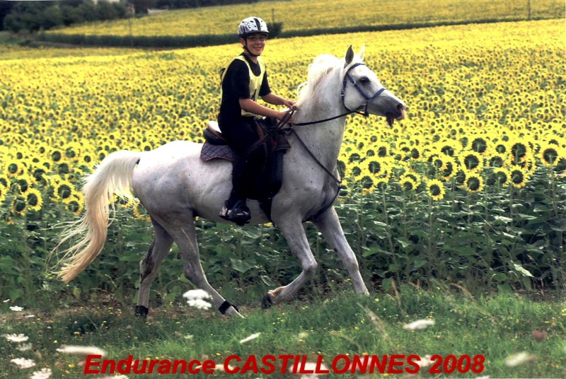 20080803_endurance_castillonnes_0027
