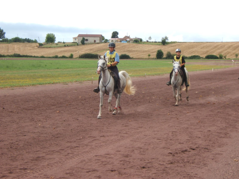 20080803_endurance_castillonnes_0034
