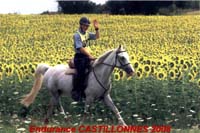20080803_endurance_castillonnes_0018