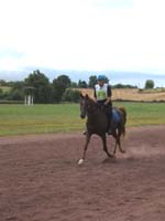 20080803_endurance_castillonnes_0023