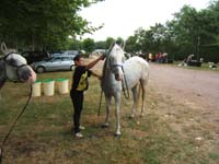 20080803_endurance_castillonnes_0025