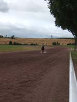 20080803_endurance_castillonnes_0026