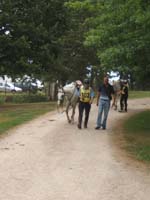 20080803_endurance_castillonnes_0033