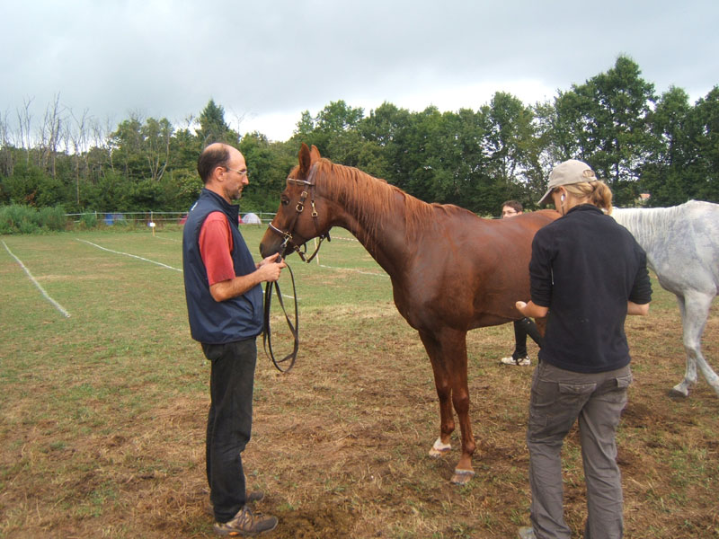 20080831_concours_Rouffignac0083