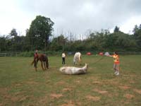 20080831_concours_Rouffignac0044