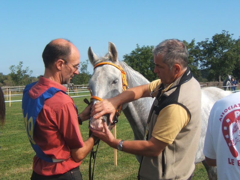 20080919_Monpazier_119km_elodie_titou_0039