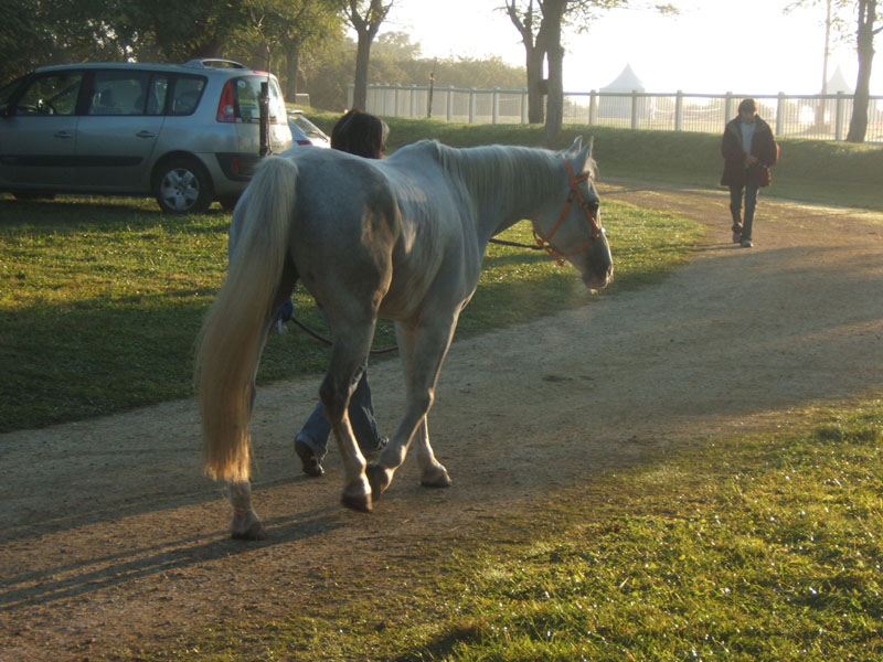 20080919_Monpazier_119km_elodie_titou_0107