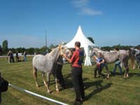 20080919_Monpazier_119km_elodie_titou_0034