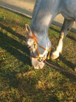 20080919_Monpazier_119km_elodie_titou_0106