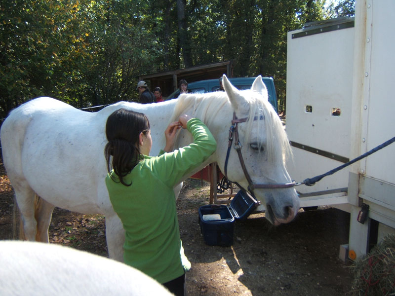 20081019_equifun_freyssinet0114