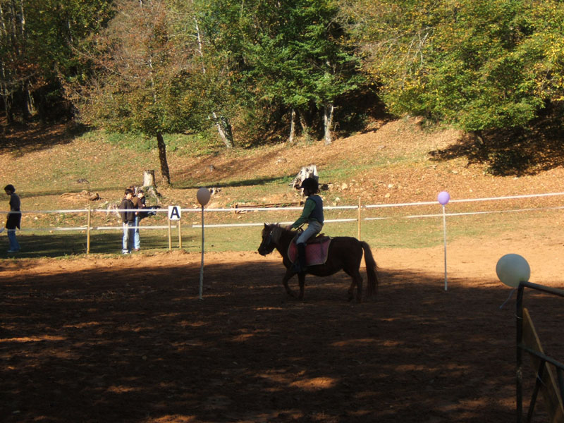 20081019_equifun_freyssinet0156