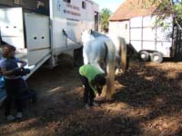 20081019_equifun_freyssinet0107