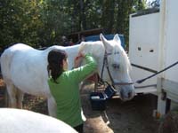 20081019_equifun_freyssinet0114