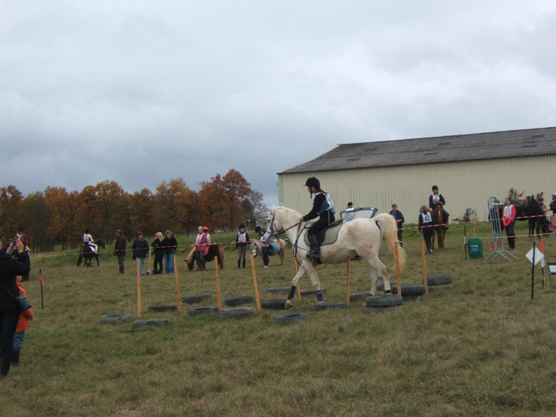 20081111__Equifun_0039