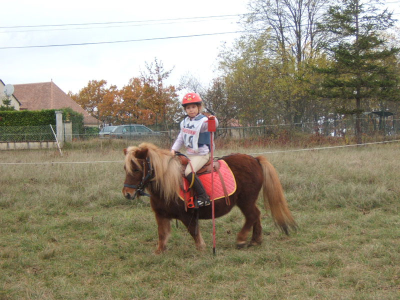 20081111__Equifun_0057