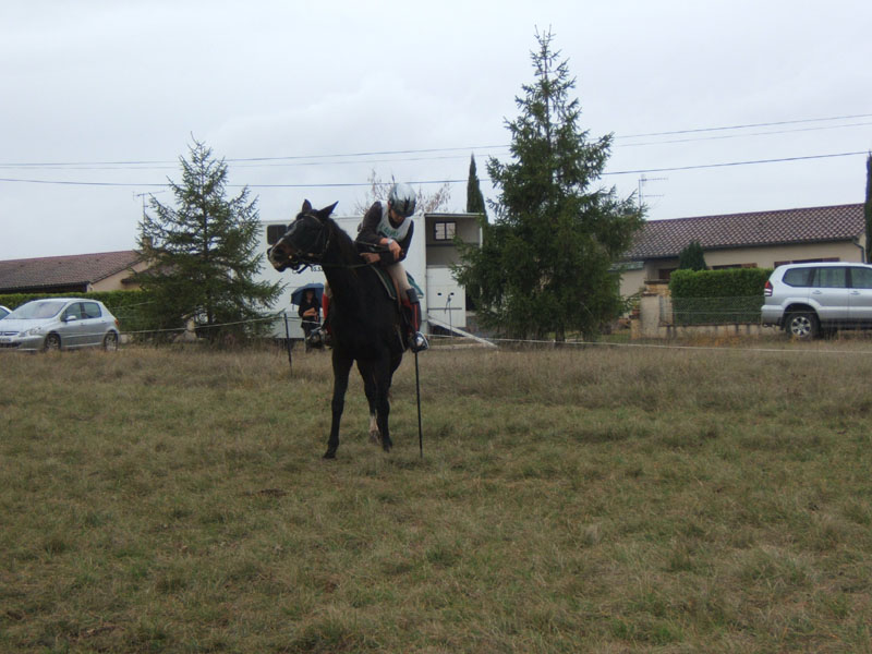 20081111__Equifun_0087