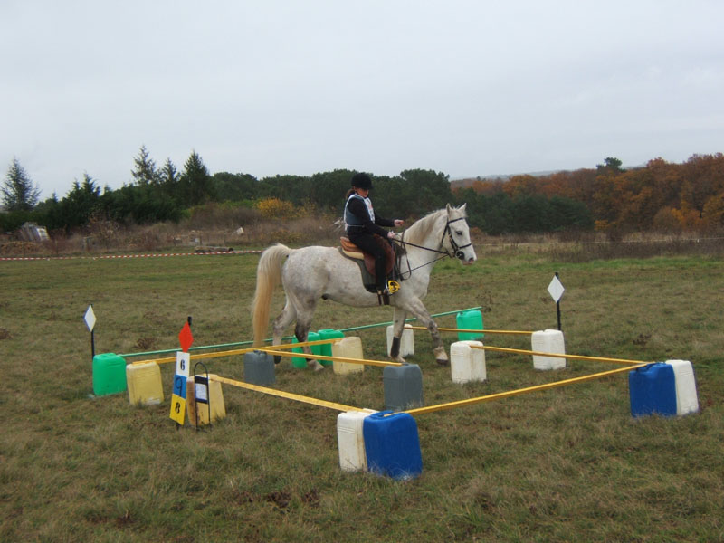 20081111__Equifun_0099