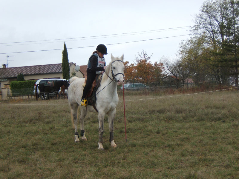 20081111__Equifun_0102