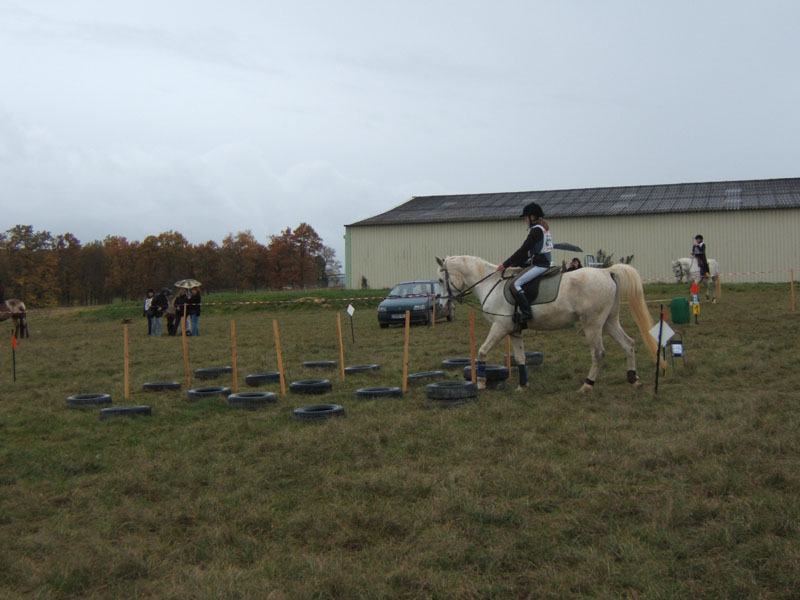 20081111__Equifun_0120