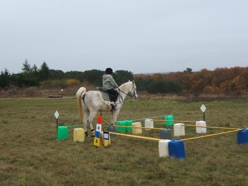 20081111__Equifun_0129